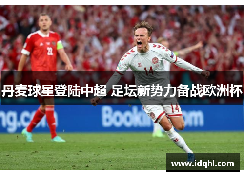 丹麦球星登陆中超 足坛新势力备战欧洲杯
